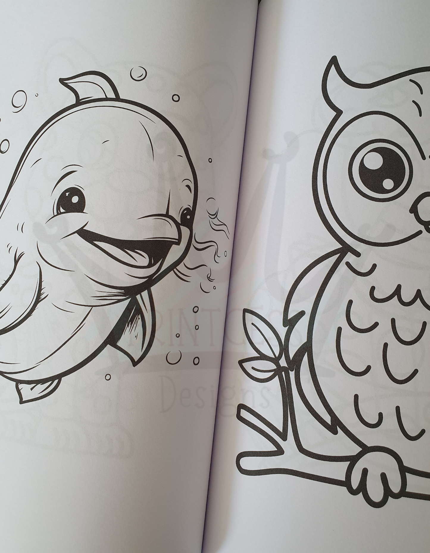 Children's Colouring Book: Animals