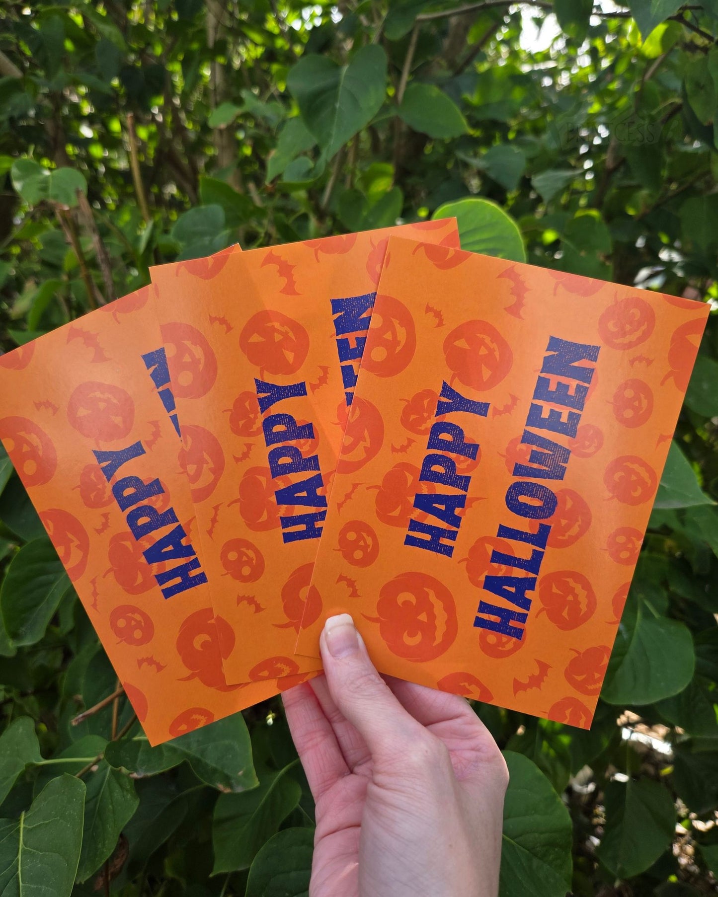 Halloween Notecards